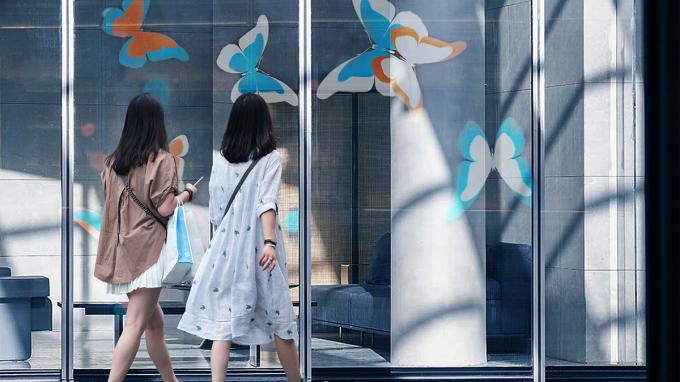 Pantalla LED Holográfica Transparente P3.91 Pantalla LED a todo color Pantalla LED Holográfica Invisible Pantalla LED Invisible 1